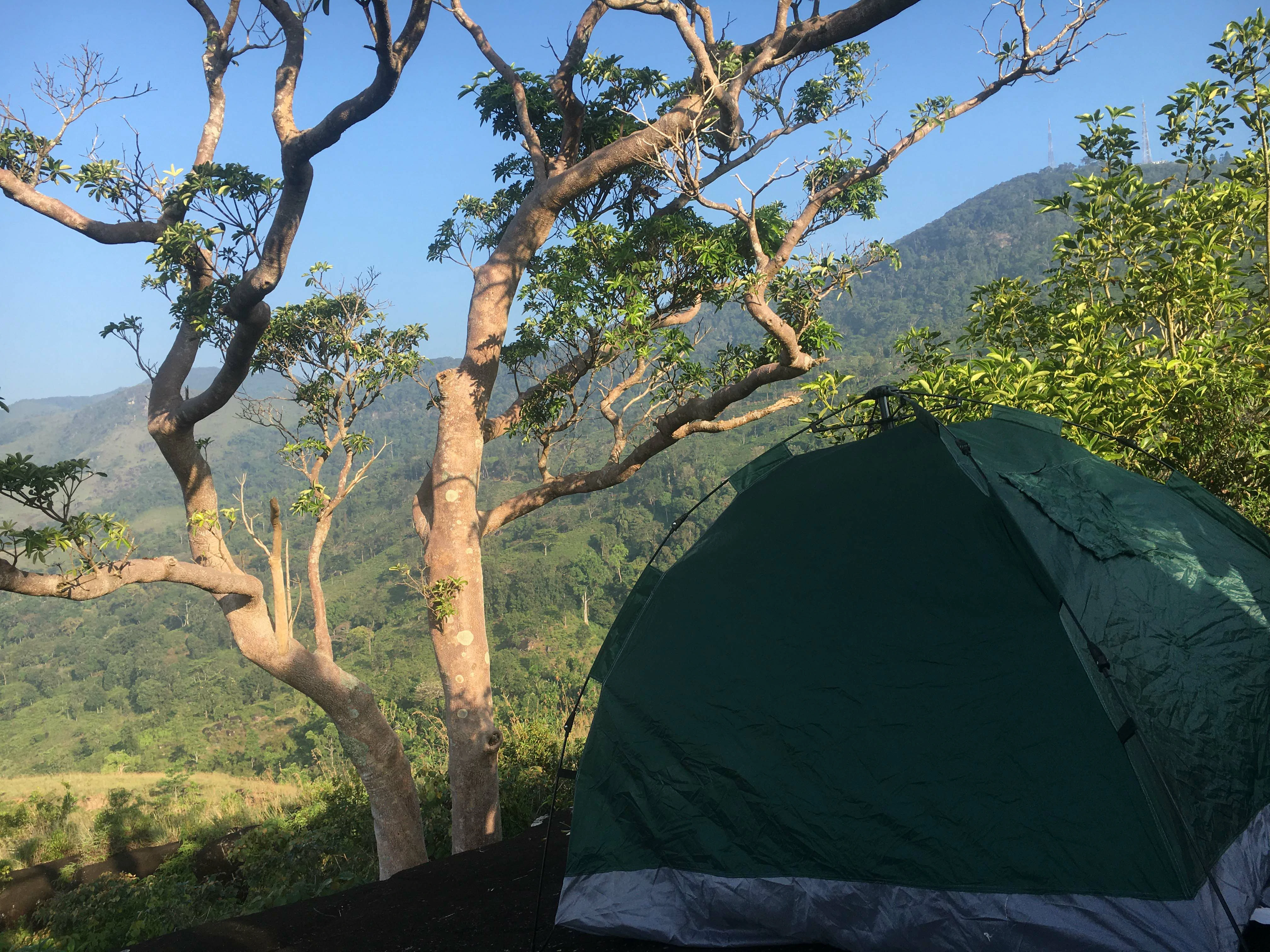 Camping in Sinharaja Forest Reserve