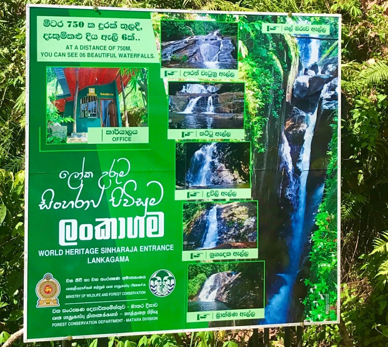 sinharaja-forest-pitadeniya-entrance-sinharaja-tour-guide