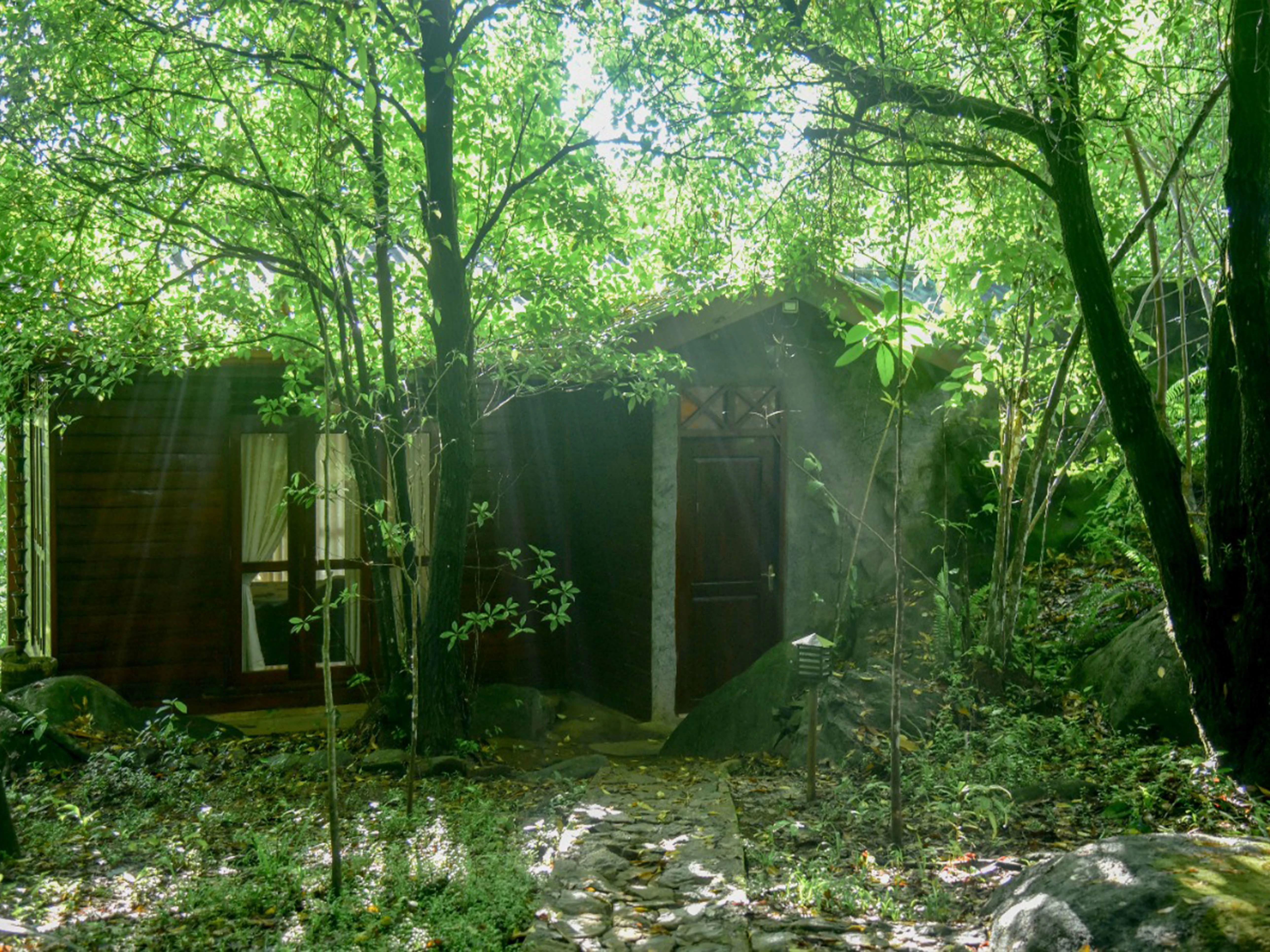 Accommodation in Sinharaja Forest Reserve
