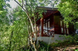 Accommodations in Sinharaja Rain Forest Reserve